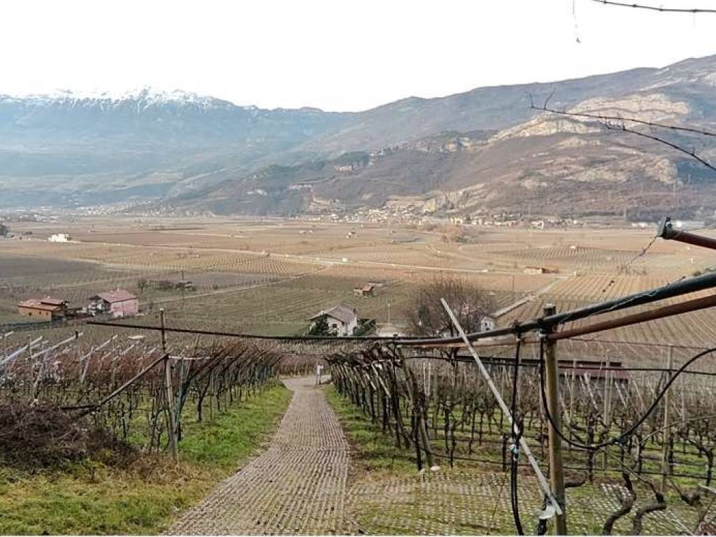 Terreno a Volano in VIA NAZIONALE, 28 - Foto 5