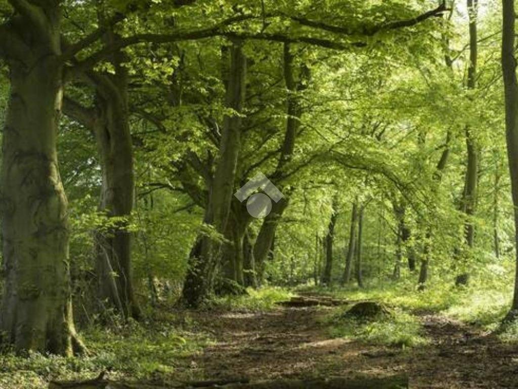Terreno a Lentate sul seveso in Via Puccini - Foto 2