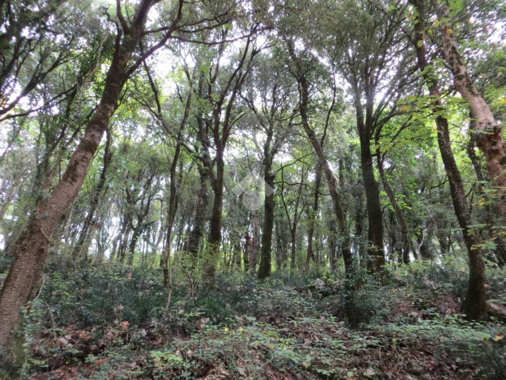 Terreno a Lentate sul seveso in Via Puccini - Foto 3