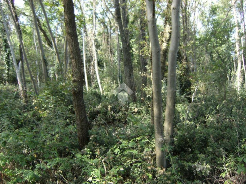 Terreno a Lentate sul seveso in Via Puccini - Foto 4