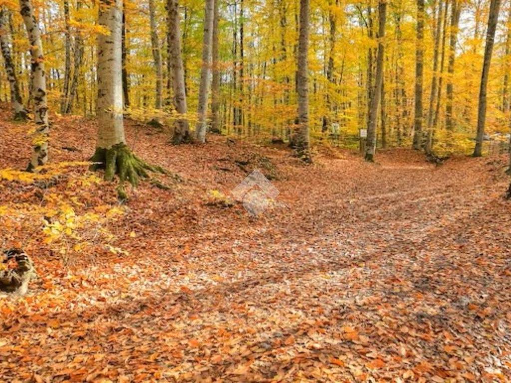 Terreno a Lentate sul seveso in Via Puccini - Foto 5