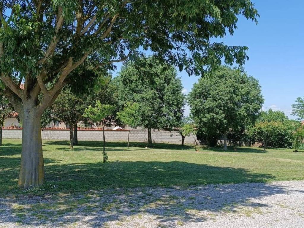 Casa indipendente a Argenta in molinellina - Foto 4