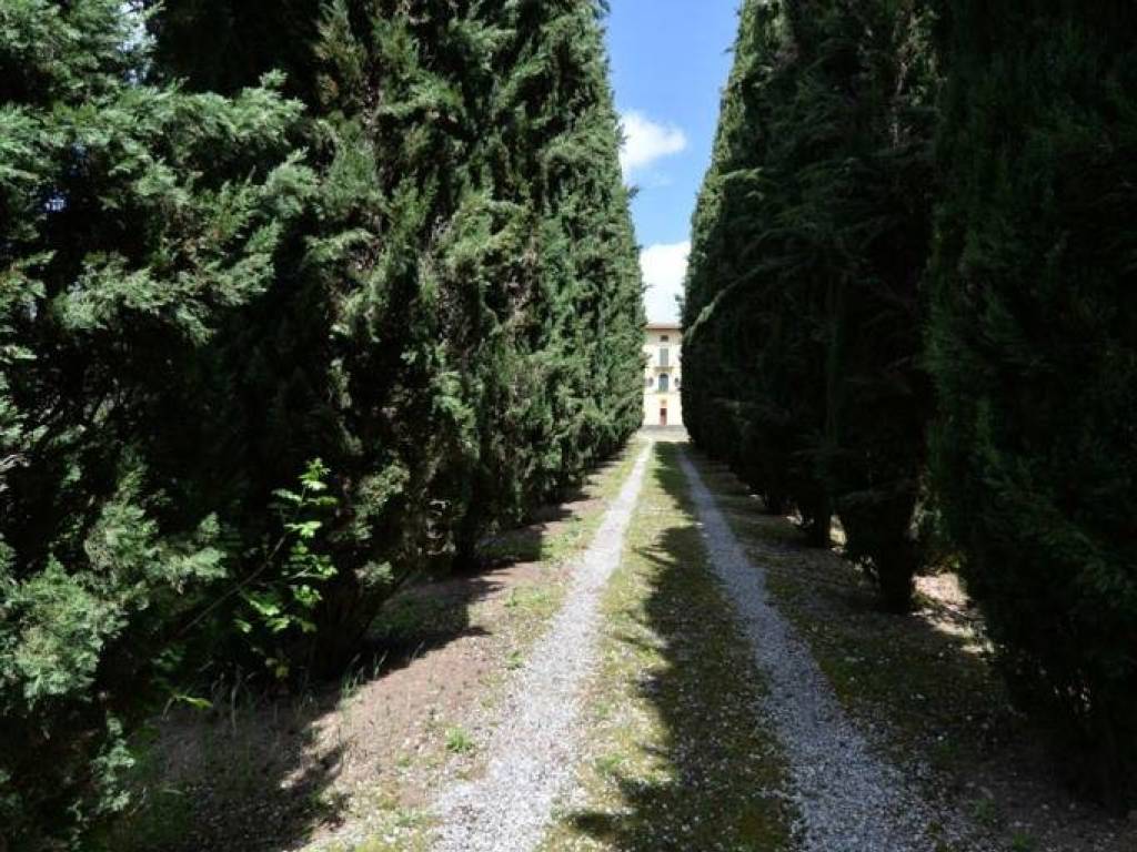 Villa a Monteriggioni - Foto 3