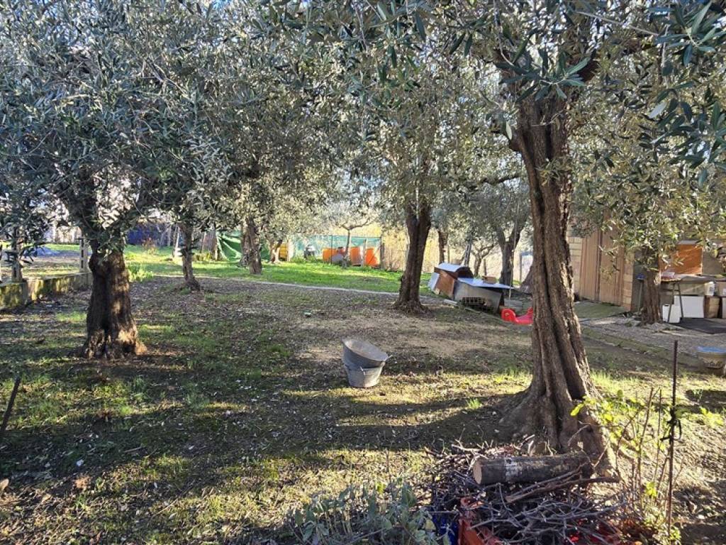 Villa a Sant'eusanio del sangro in Via della Bersagliera - Foto 4