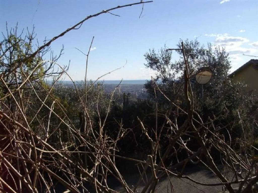 Appartamento a Sarzana - Foto 2