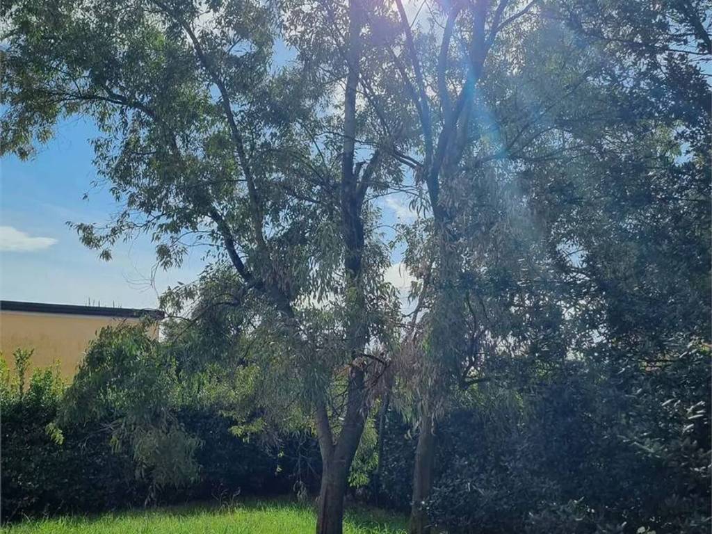 Villa a Sarzana in Viale 25 Aprile, 29 - Foto 3