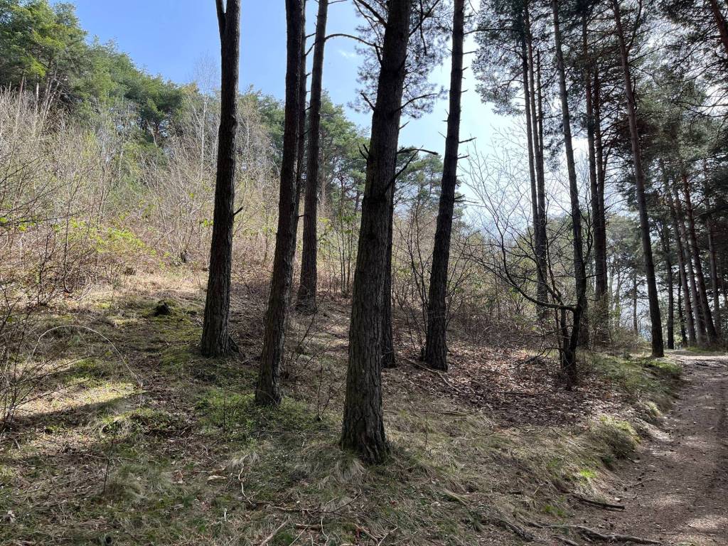 Terreno a Civo in poira - Foto 4