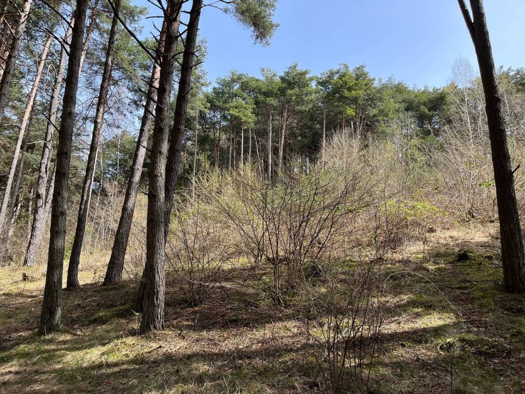 Terreno a Civo in poira - Foto 5