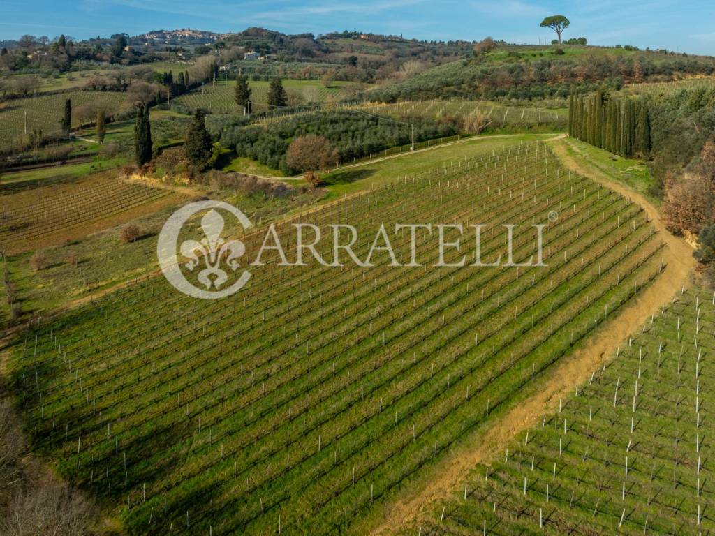Rustico / casale a Montepulciano in Via dell'Acquapuzzola, 13 - Foto 3