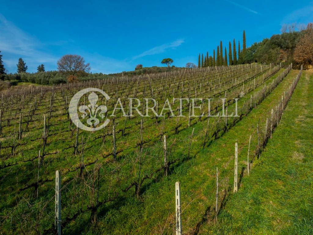 Rustico / casale a Montepulciano in Via dell'Acquapuzzola, 13 - Foto 4