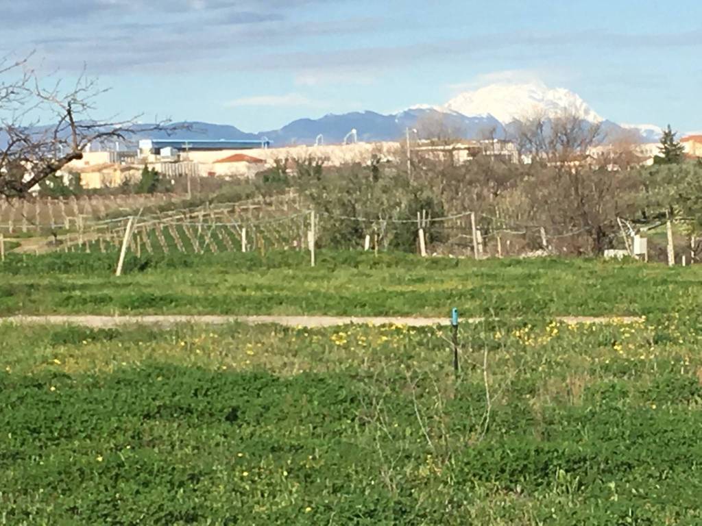 Terreno a Ortona in C.da Gagliarda Alta - Foto 4