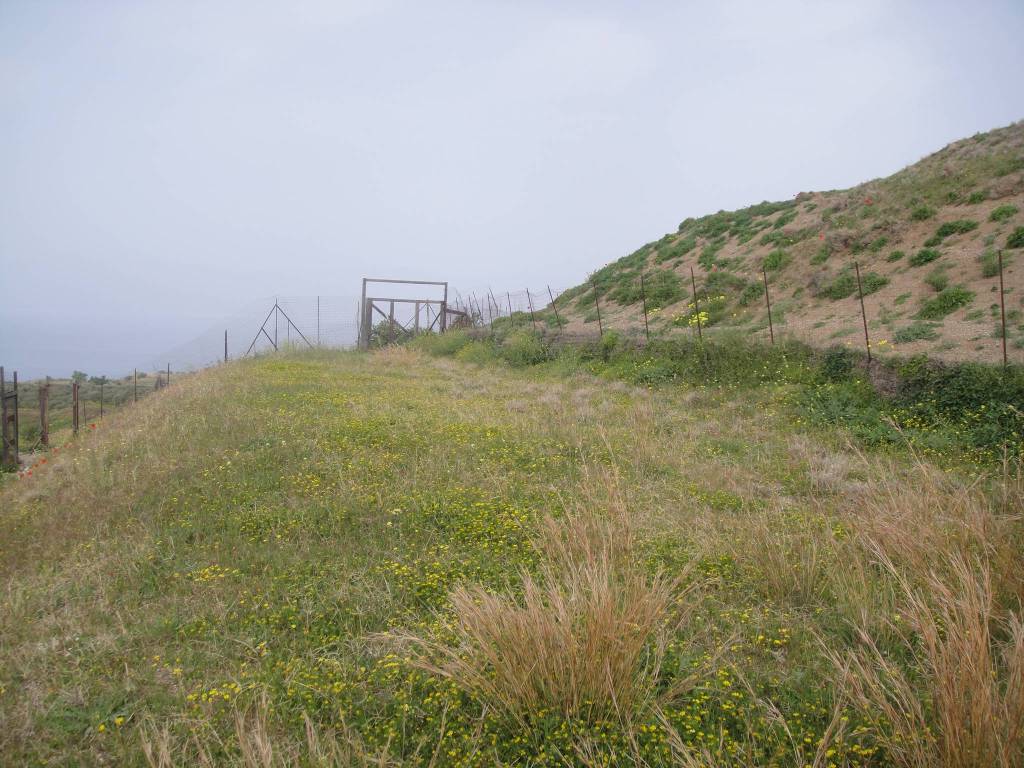 Terreno a Reggio calabria in Contrada D'Ambaldo Bocale II - Foto 3