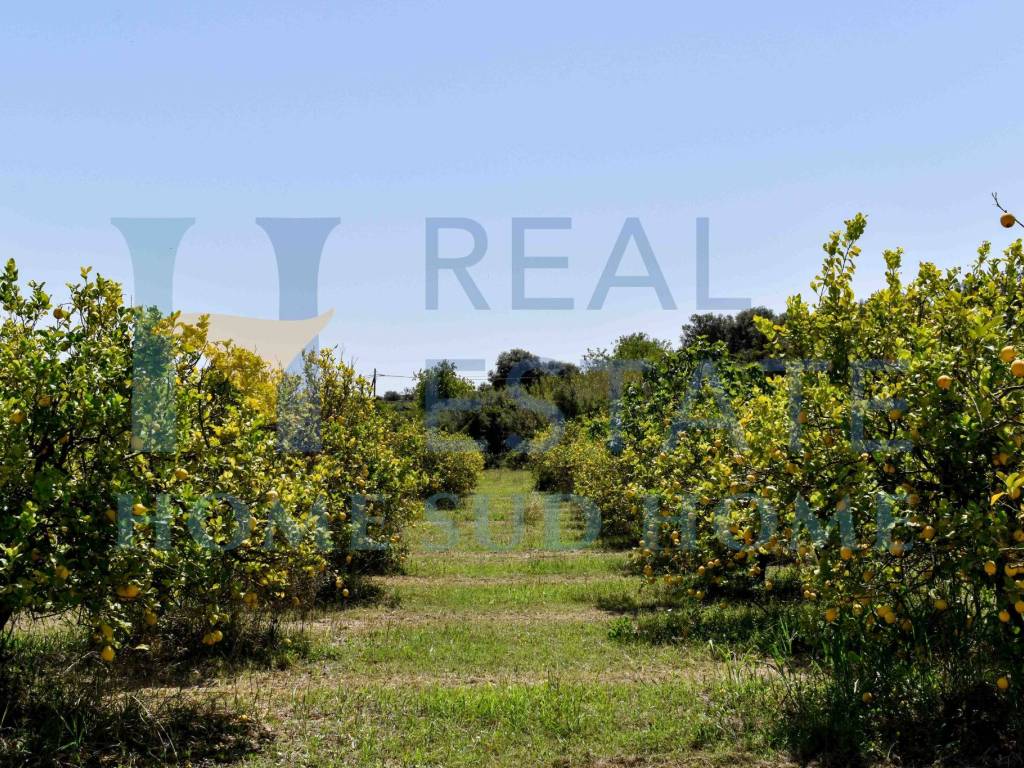 Terreno a Siracusa in Viale Ermocrate - Foto 2