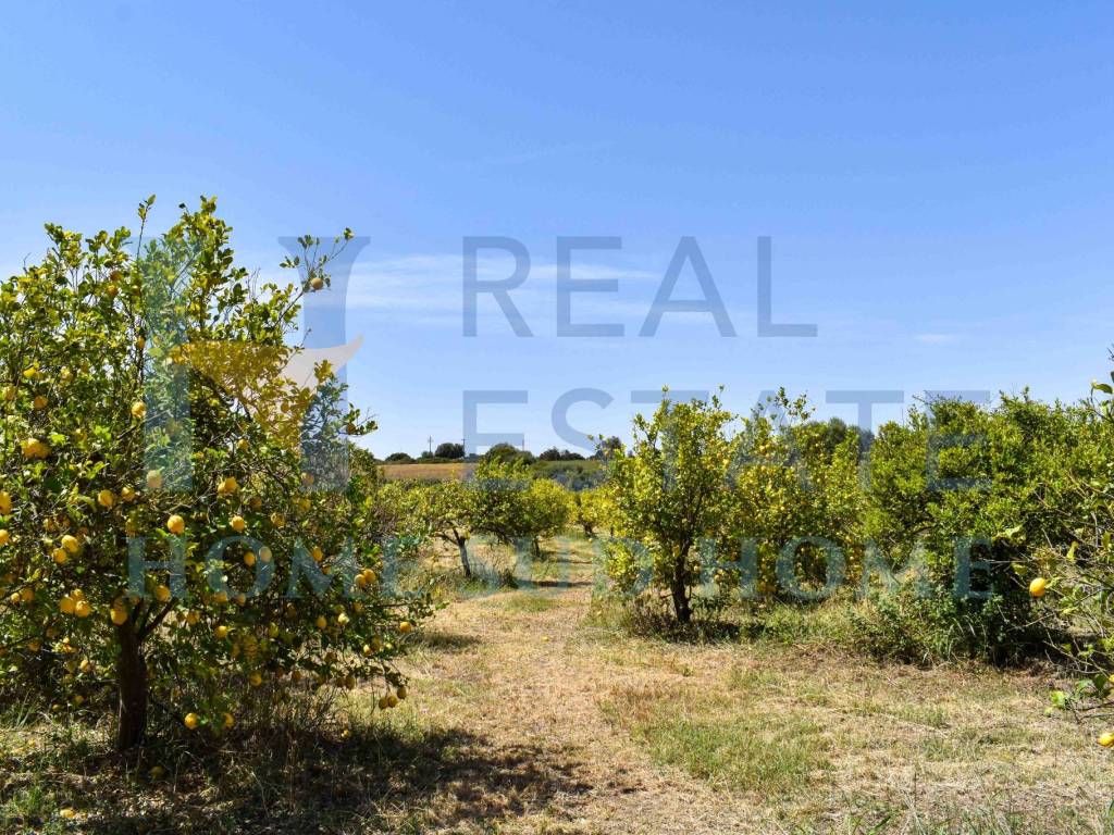 Terreno a Siracusa in Viale Ermocrate - Foto 3