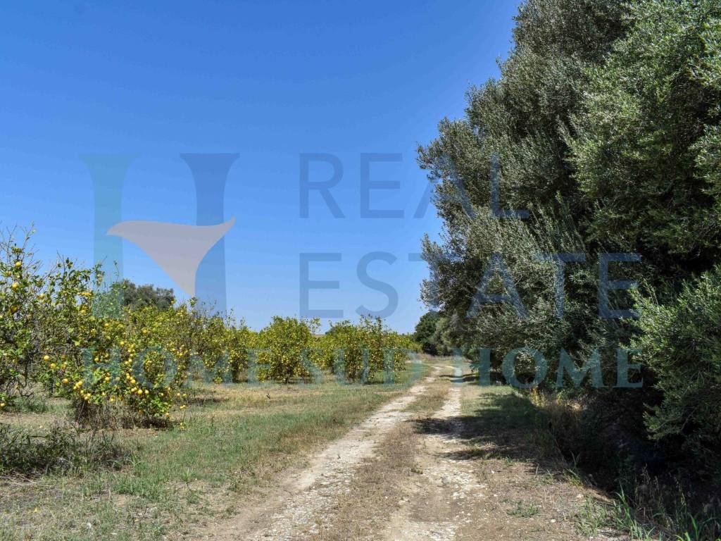 Terreno a Siracusa in Viale Ermocrate - Foto 5