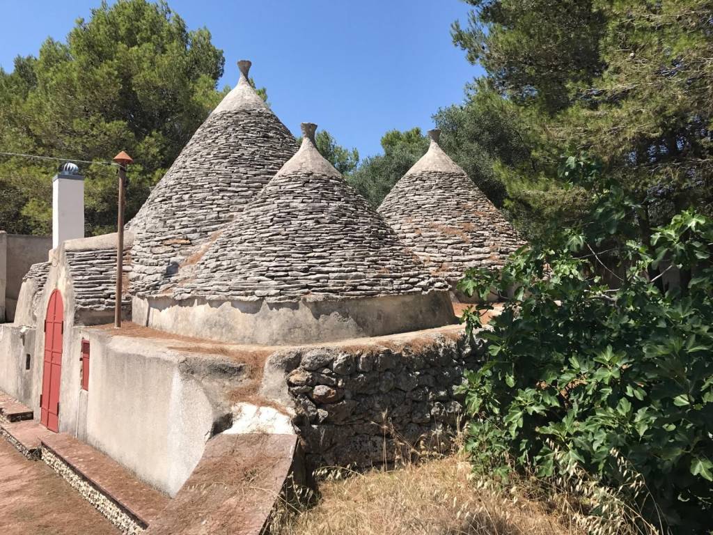 Rustico / casale a Martina franca in Contrada Paretone - Foto 2