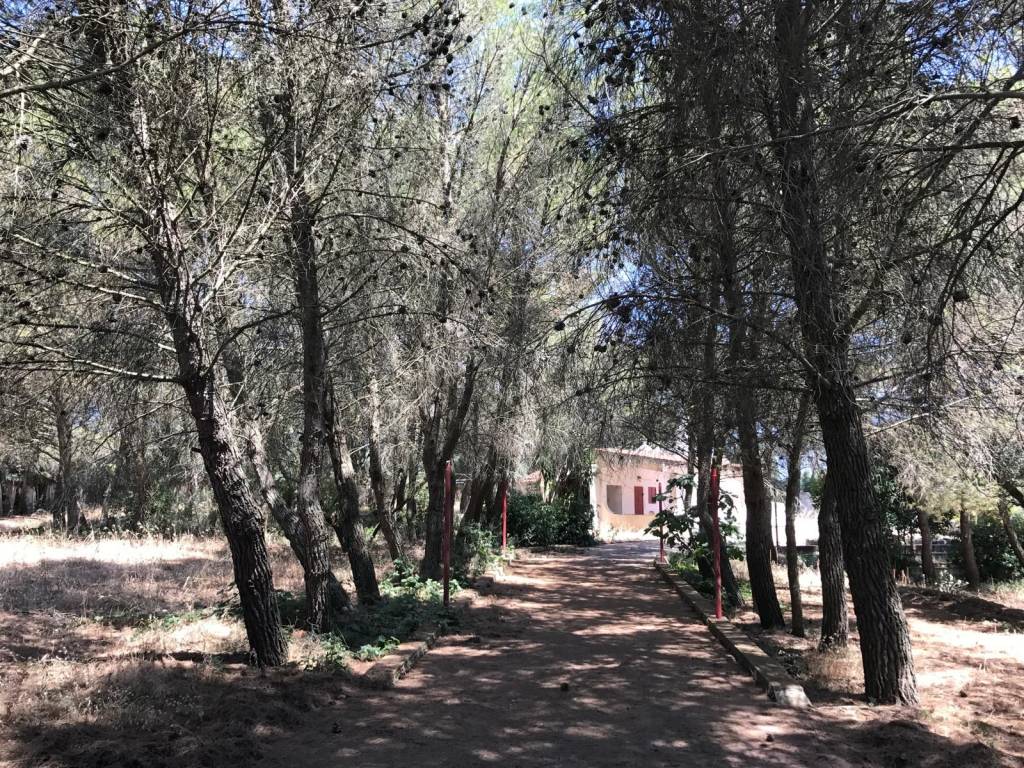 Rustico / casale a Martina franca in Contrada Paretone - Foto 4