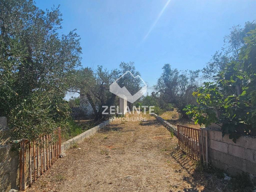 Terreno a Diso in Via Vecchia per Marittima - Foto 3
