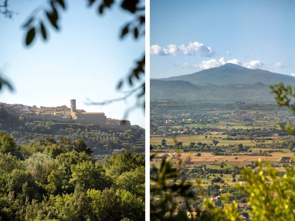 Rustico / casale a Cortona - Foto 5