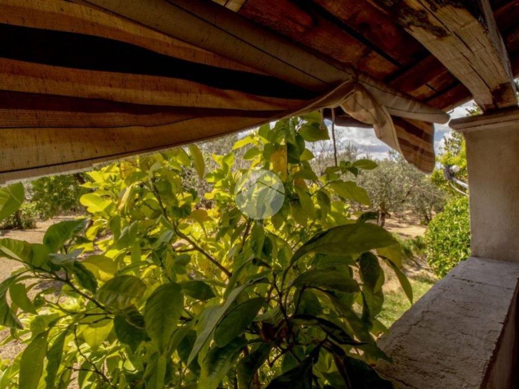 Casa indipendente a Palombara sabina in STRADA DI BARBAROSSA, 24 - Foto 4