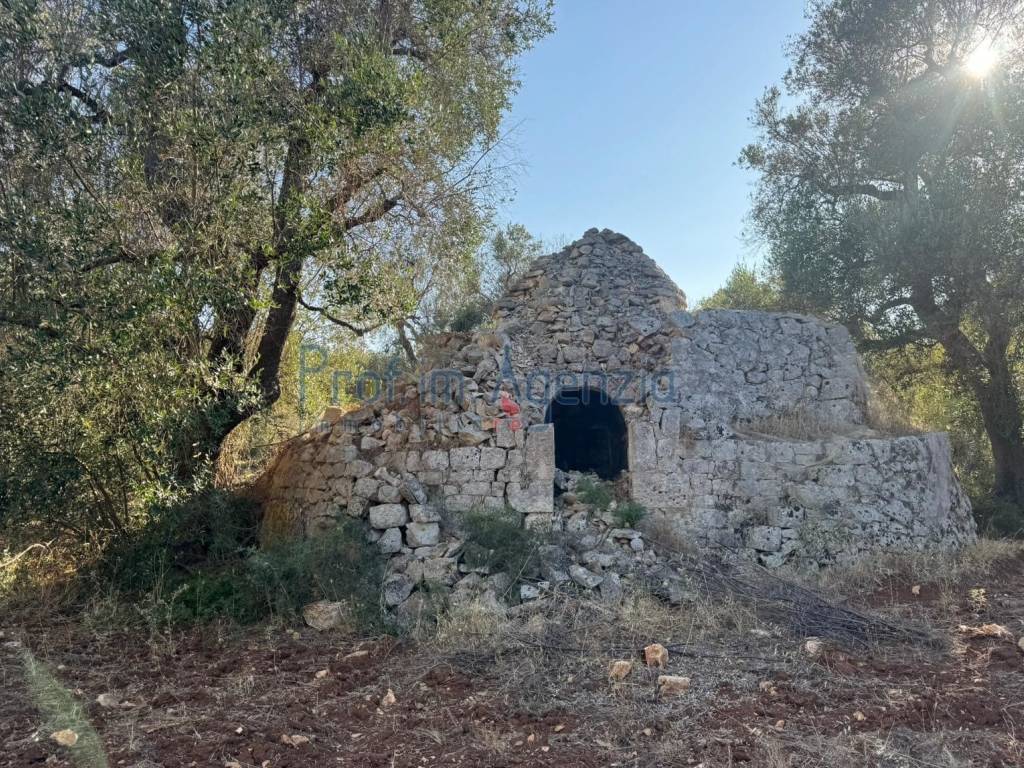 Rustico / casale a Carovigno - Foto 2