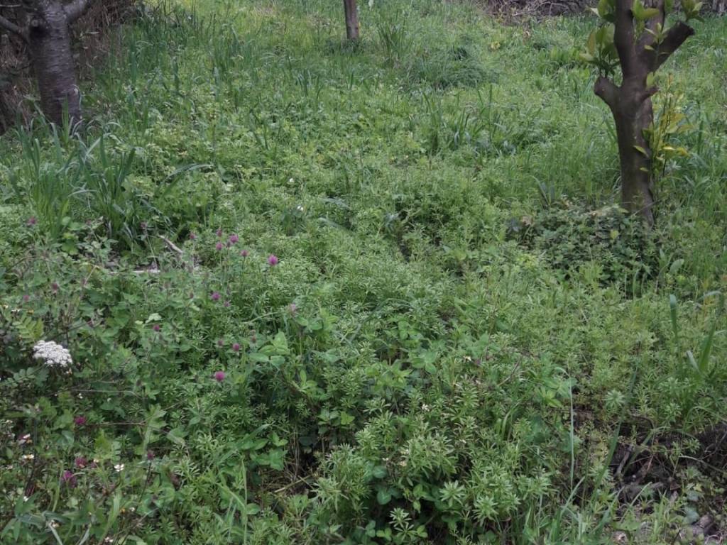 Terreno a Noli in Via Luigi Defferrari - Foto 2