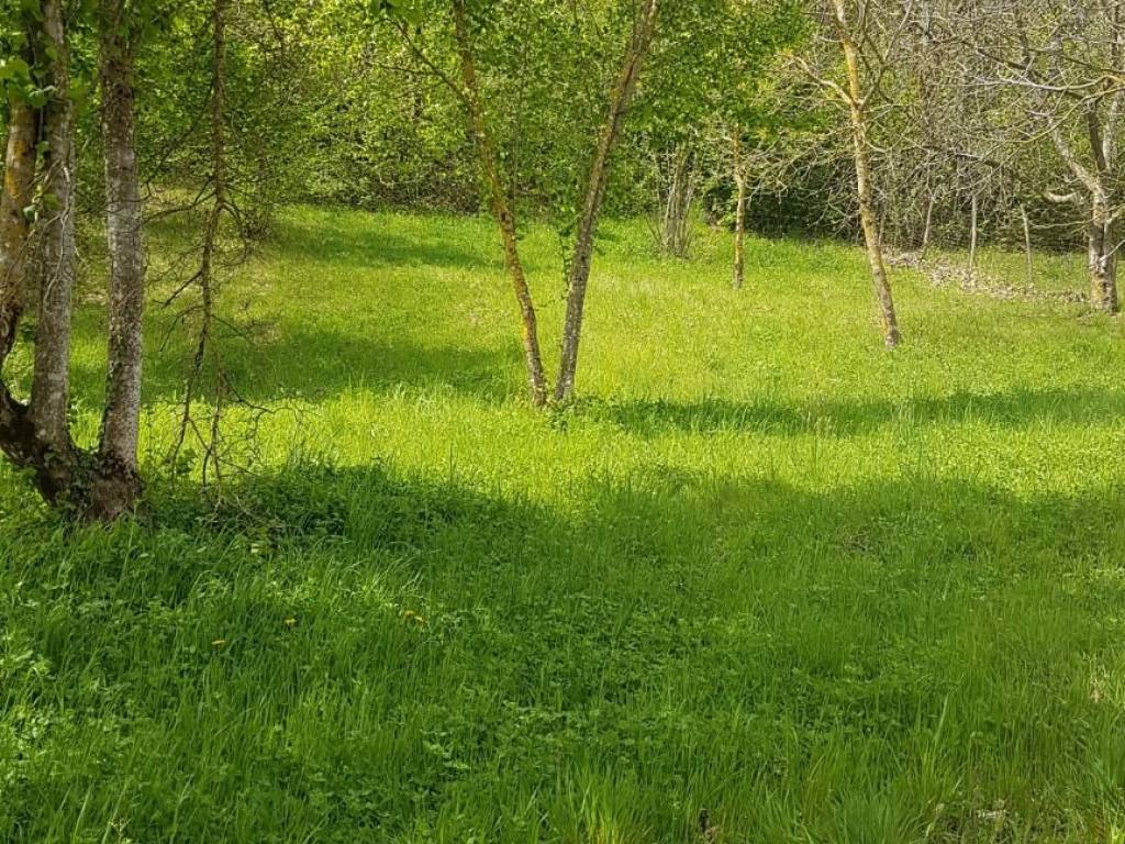 Villa a Montemiletto in Contrada Fiego - Foto 2