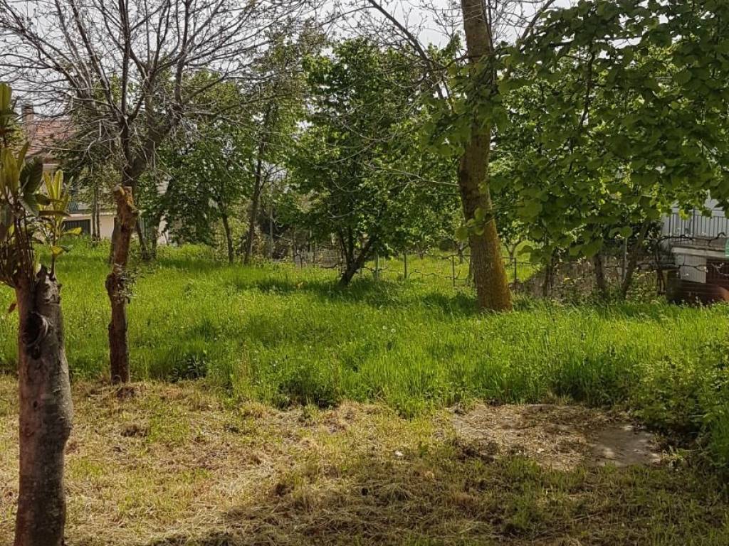 Villa a Montemiletto in Contrada Fiego - Foto 4