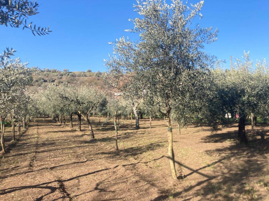 Terreno a Caserta in Via Pozzo - Foto 2