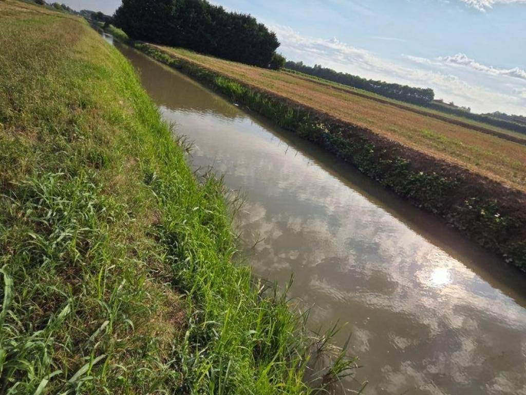 Terreno a Piove di sacco in Via Sampieri, 20 - Foto 5