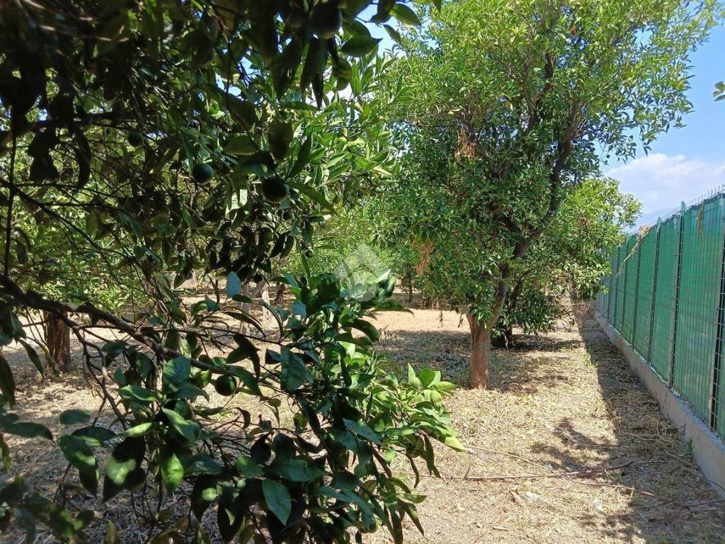 Terreno a Sant'egidio del monte albino in Via SS. Martiri, 23 - Foto 5