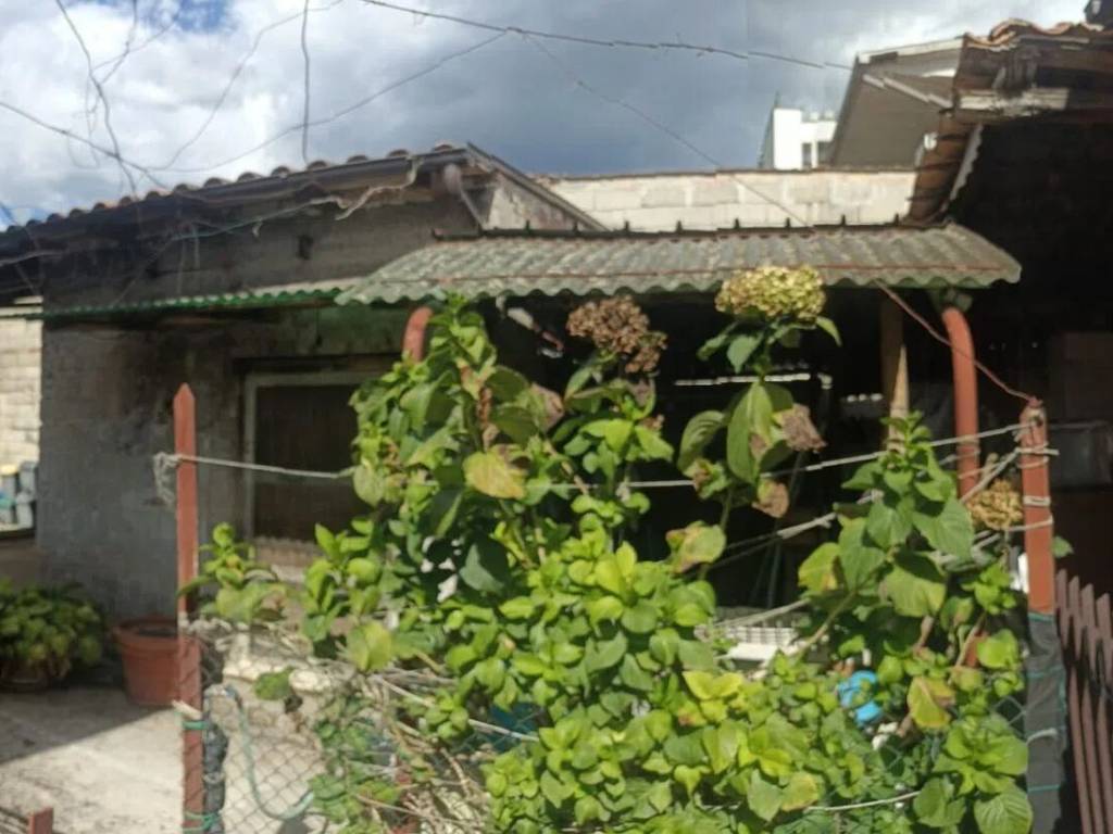 Villa a Frosinone in Via Tomaso Albinoni, 120 - Foto 3