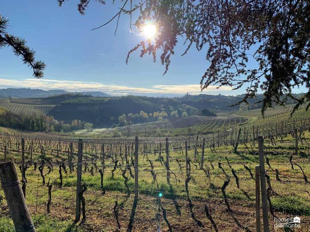 Villa a Nizza monferrato - Foto 3