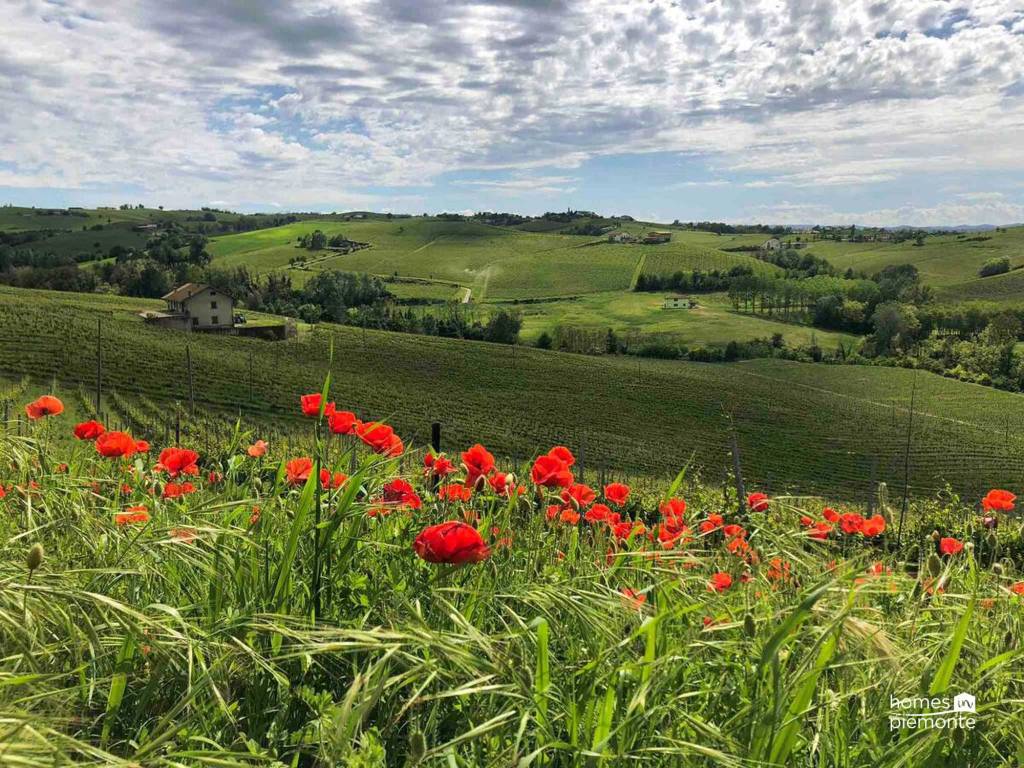 Villa a Nizza monferrato - Foto 4