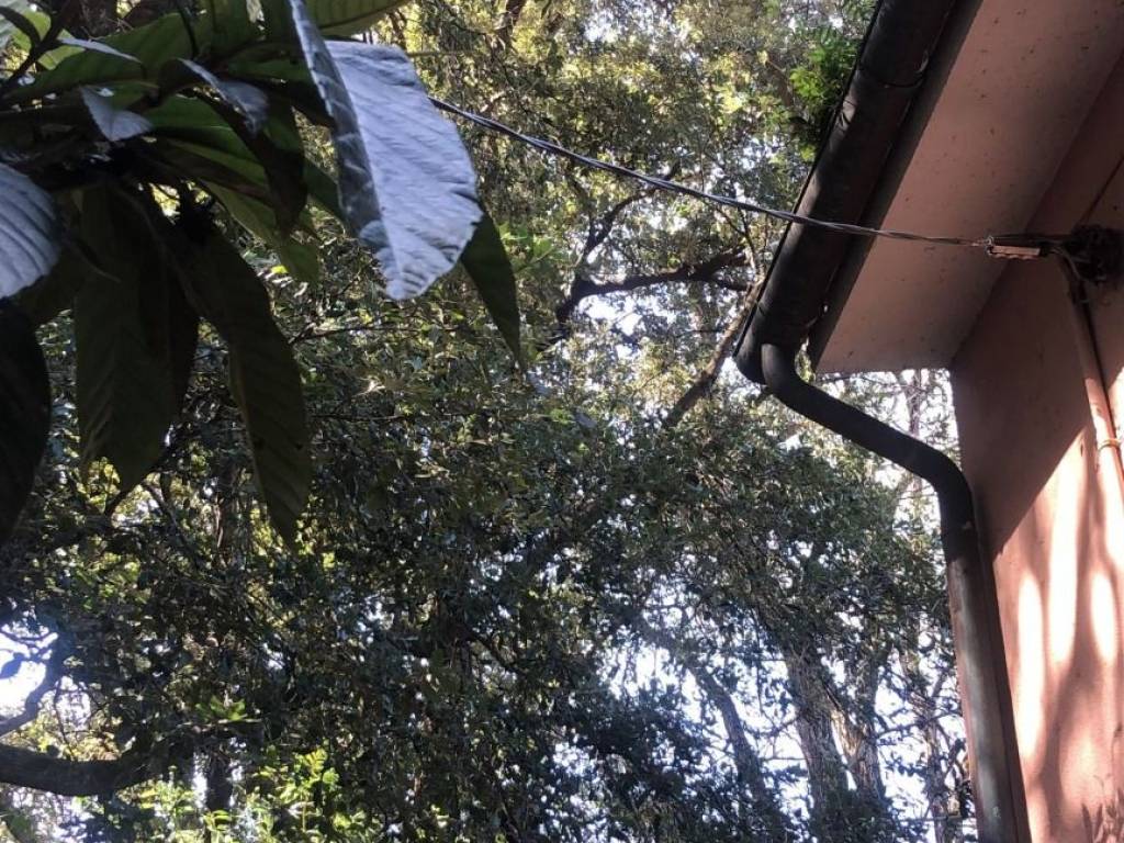 Casa indipendente a Marciana marina - Foto 2