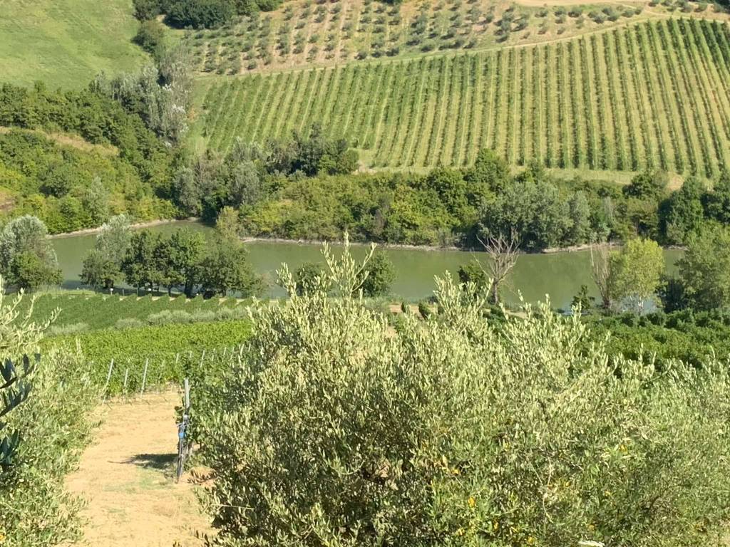 Rustico / casale a Brisighella in via Pideura - Foto 3
