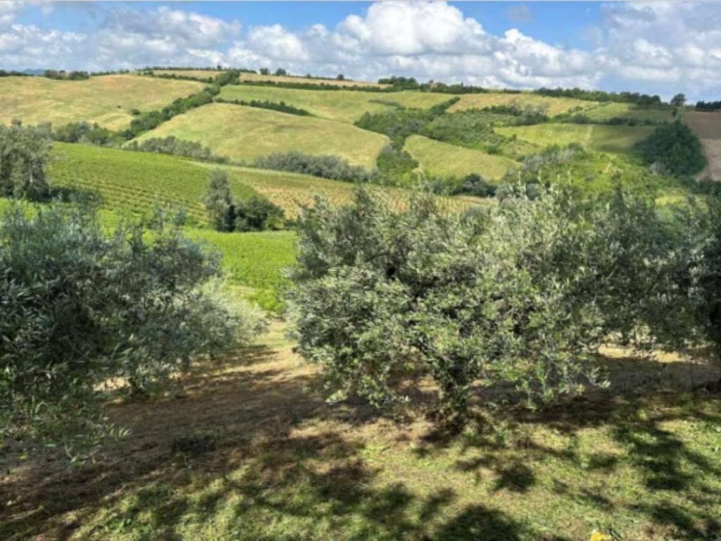 Rustico / casale a Brisighella in via Pideura - Foto 5