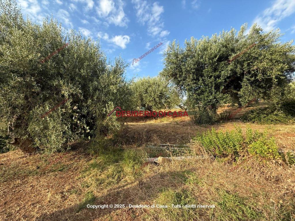 Casa indipendente a Gratteri in Contrada Rapputi - Foto 4