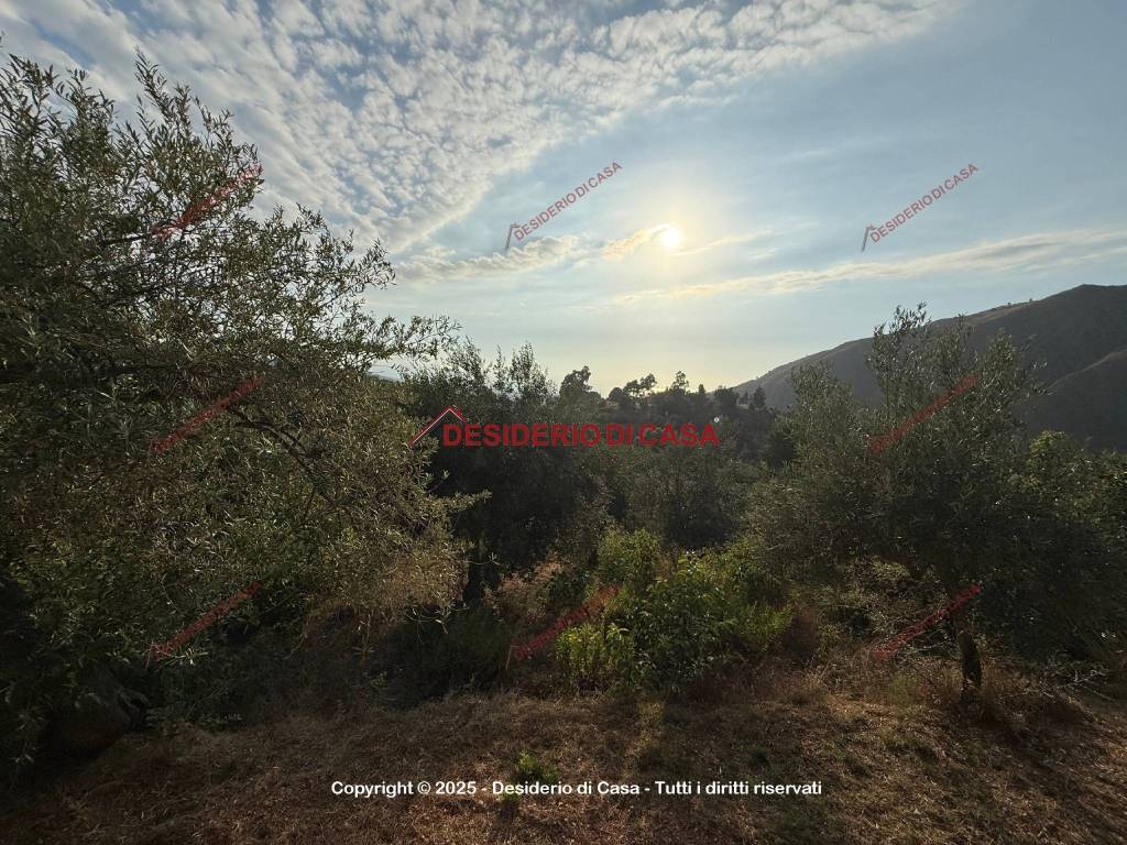 Casa indipendente a Gratteri in Contrada Rapputi - Foto 5