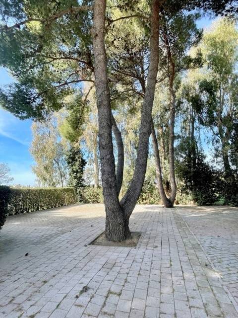 Appartamento a Rosignano marittimo in stradone del belvedere - Foto 2