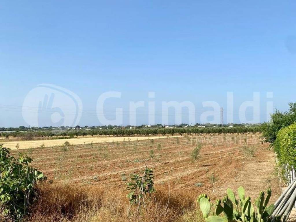 Terreno a Tuglie in CONTRADA CARIGNANI, 1 - Foto 2