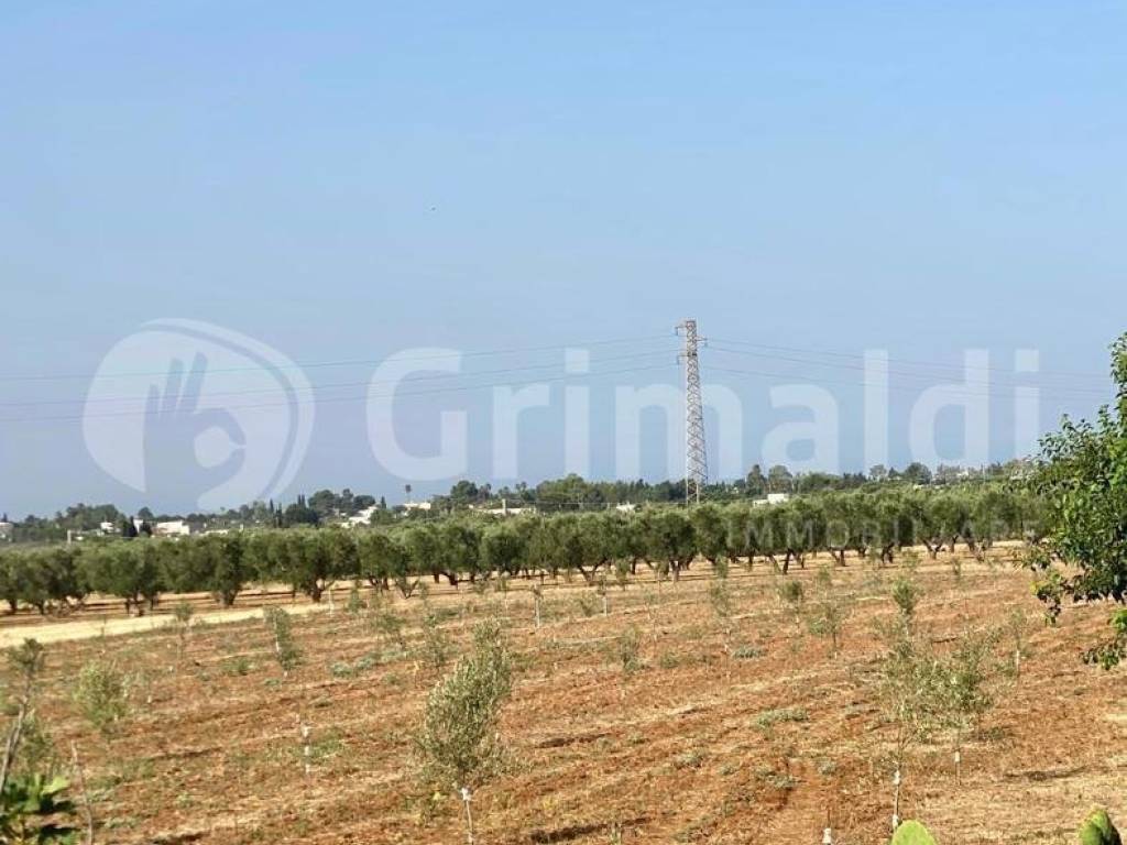Terreno a Tuglie in CONTRADA CARIGNANI, 1 - Foto 4
