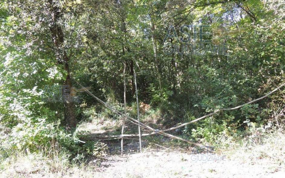 Villa a Maratea in Rione Curzo - Foto 4