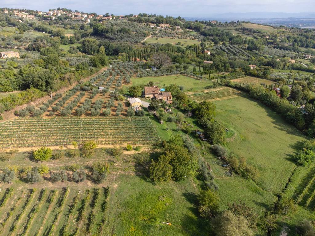 Rustico / casale a Montepulciano in montepulciano - Foto 4