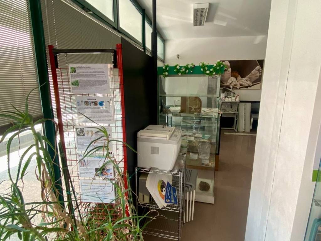 Immobile a Mestrino - Foto 2