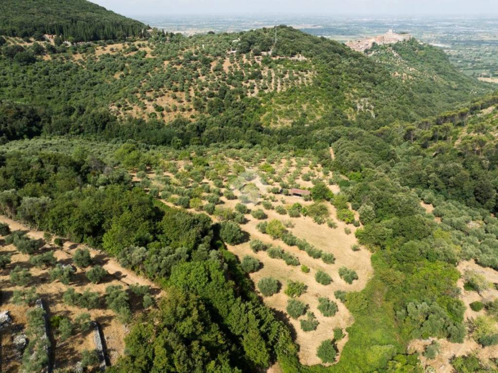 Terreno a Sermoneta in Via Madonna delle Grazie - Foto 4