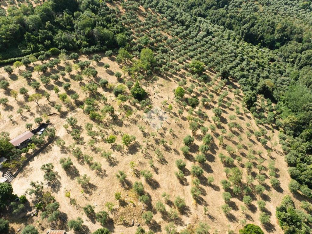 Terreno a Sermoneta in Via Madonna delle Grazie - Foto 5