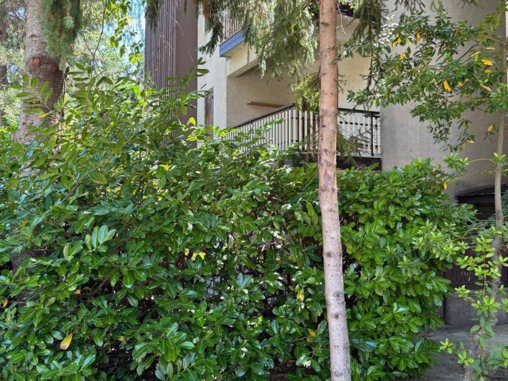 Appartamento a Spezzano della sila in Via delle Forgitelle, 35 - Foto 4