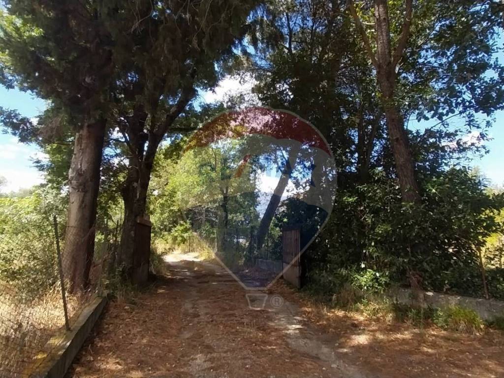 Terreno a Sicignano degli alburni in Contrada San Licandro, 1 - Foto 5