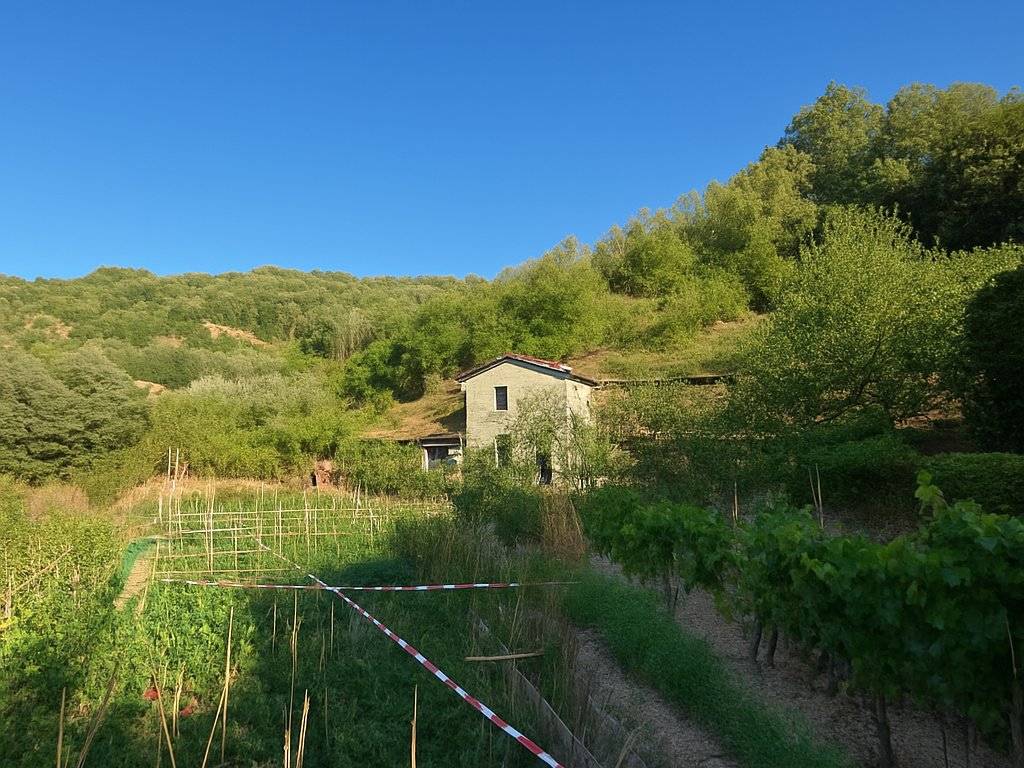 Appartamento a Monte argentario in Via del Campone - Foto 4